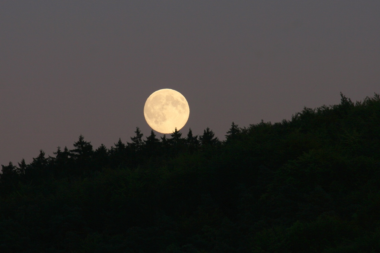 Balade nocturne en fort sous la pleine lune
