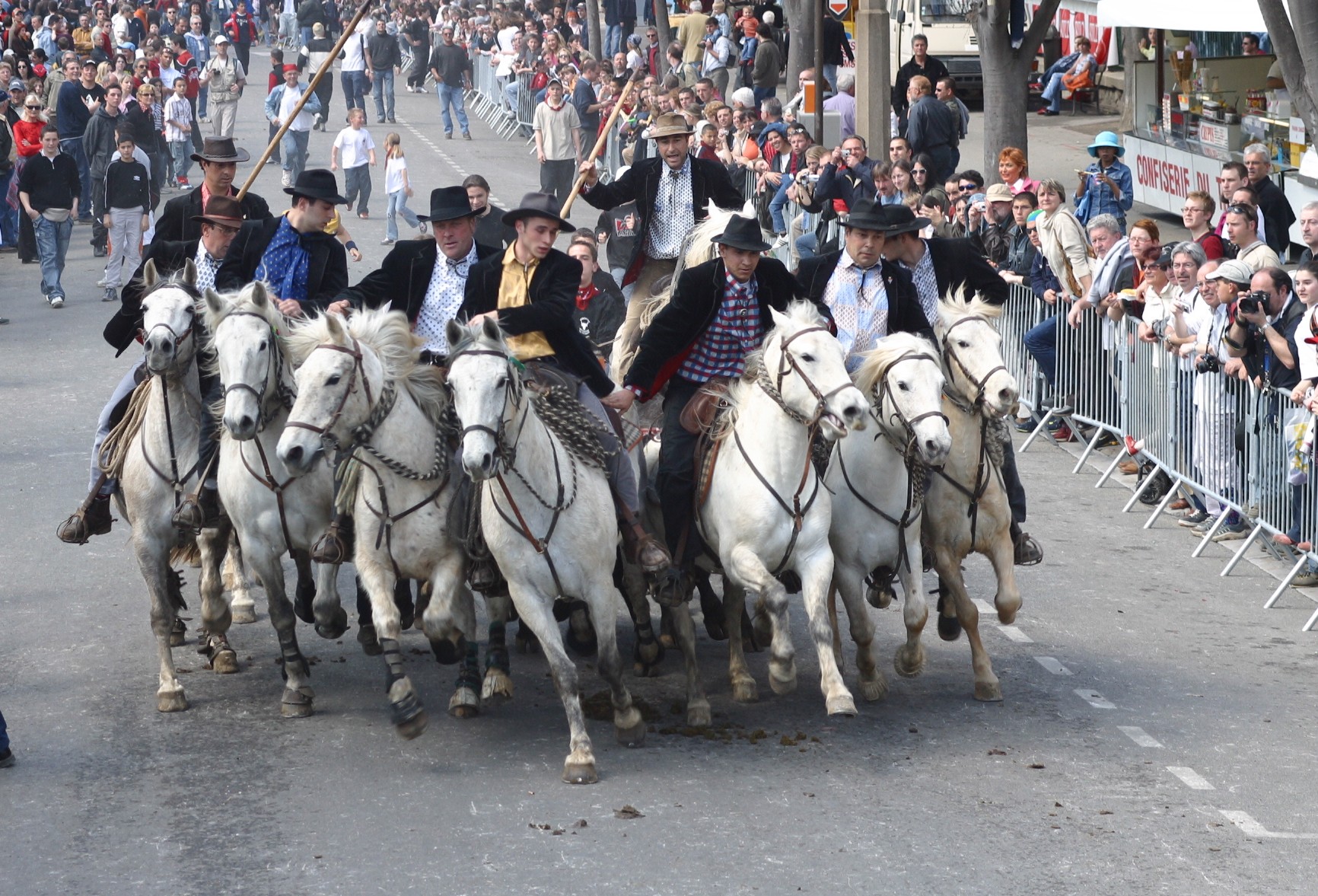 Les taureaux dans les rues - Feria du riz