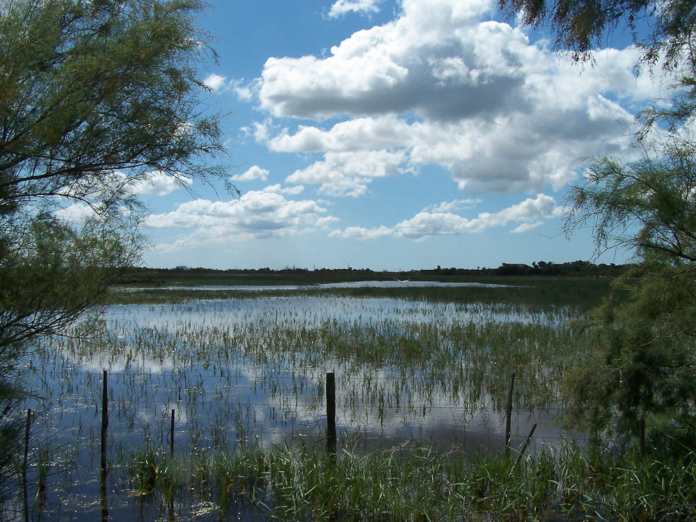 Journ�es europ�ennes du patrimoine aux Marais du Vigueirat