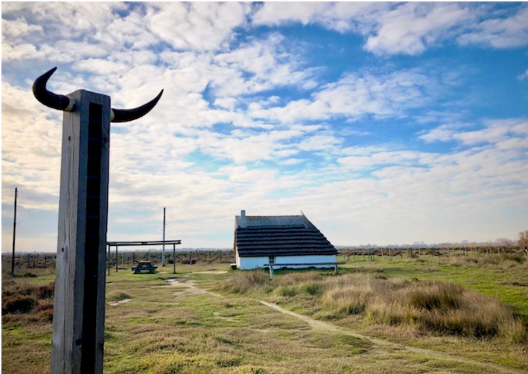 Journ�es europ�ennes du patrimoine au Mus�e de la Camargue