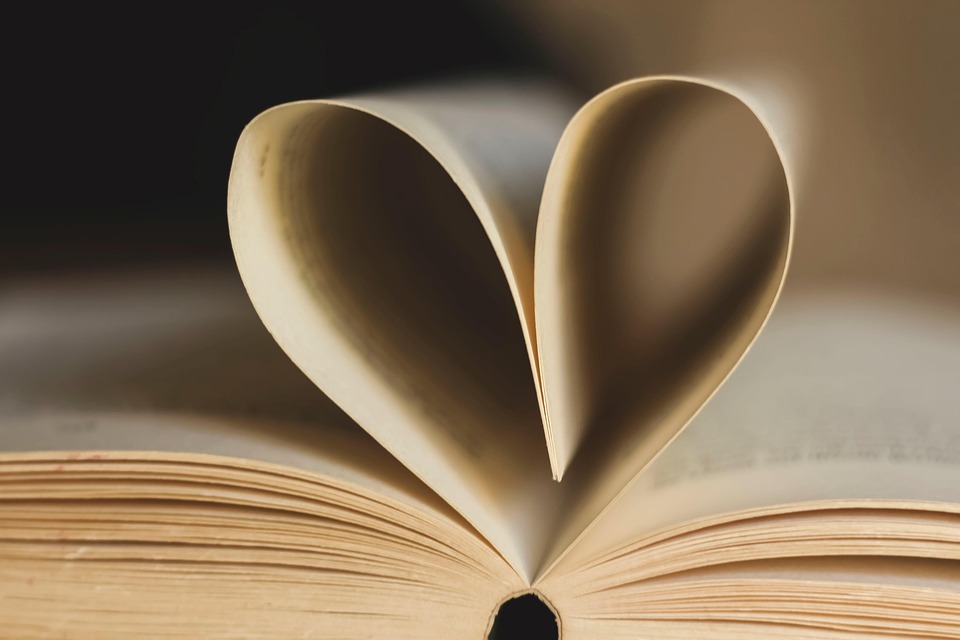 Livres en Seille