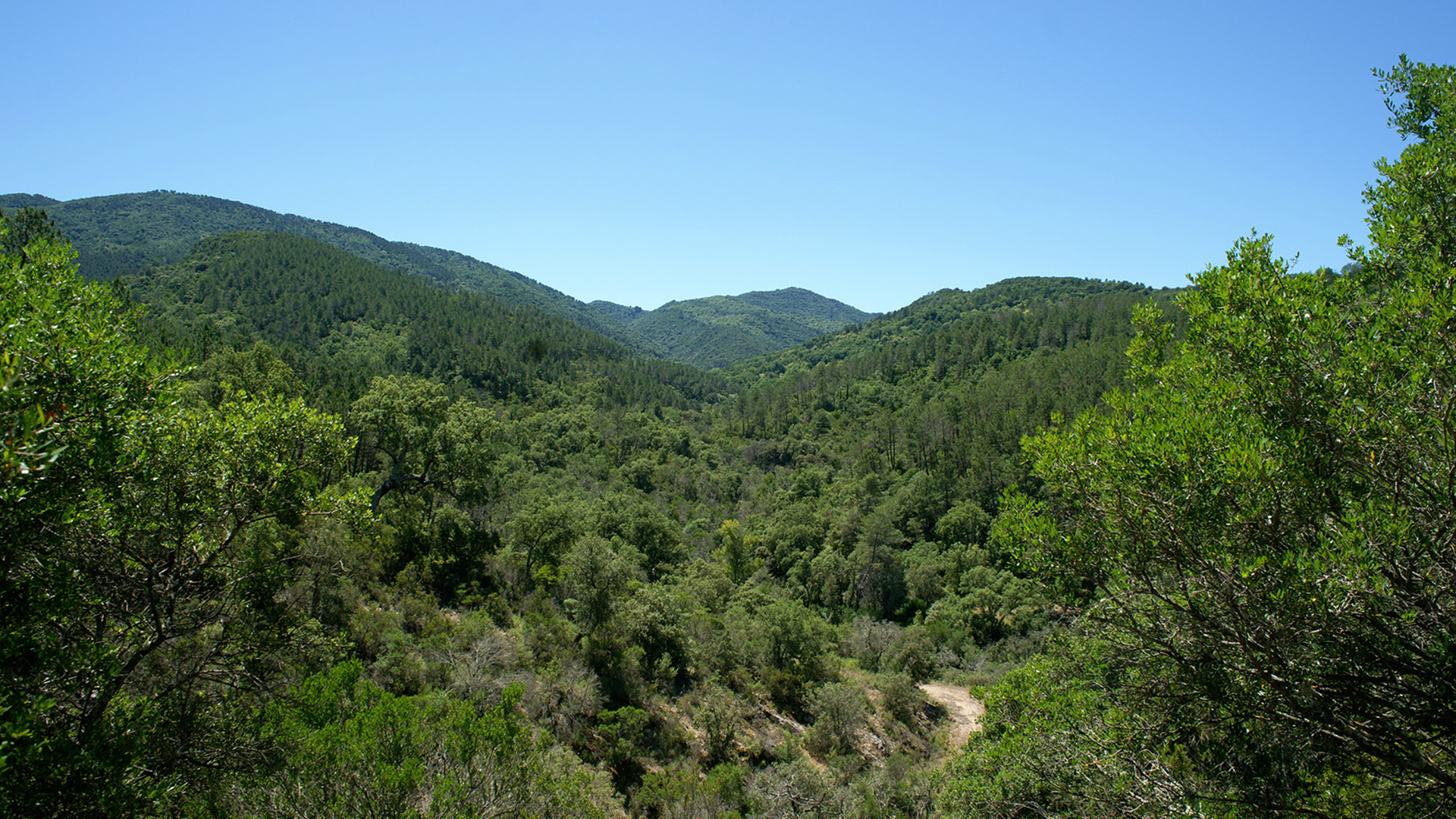 Randonn�e nature & patrimoine comment�e 