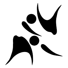 La nuit des arts martiaux et des sports de combat