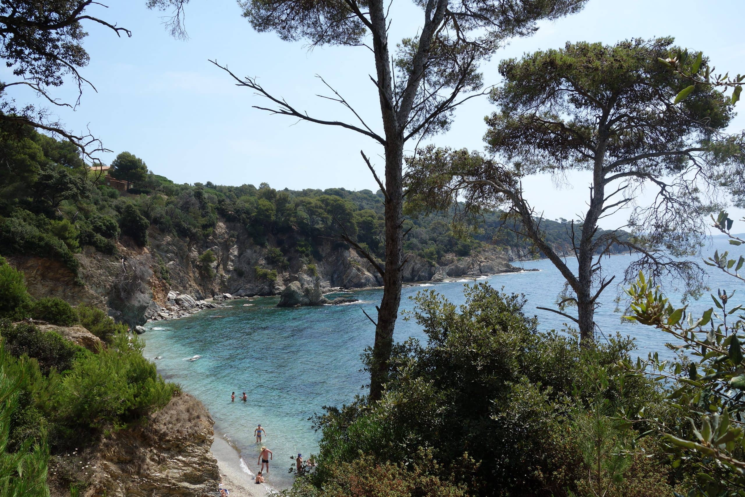Sortie biodiversit du littoral  Giens