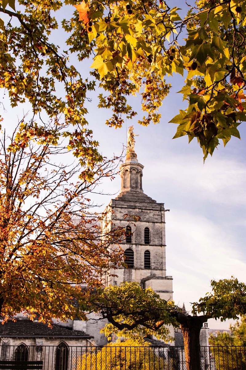 Cycle de visites guides 