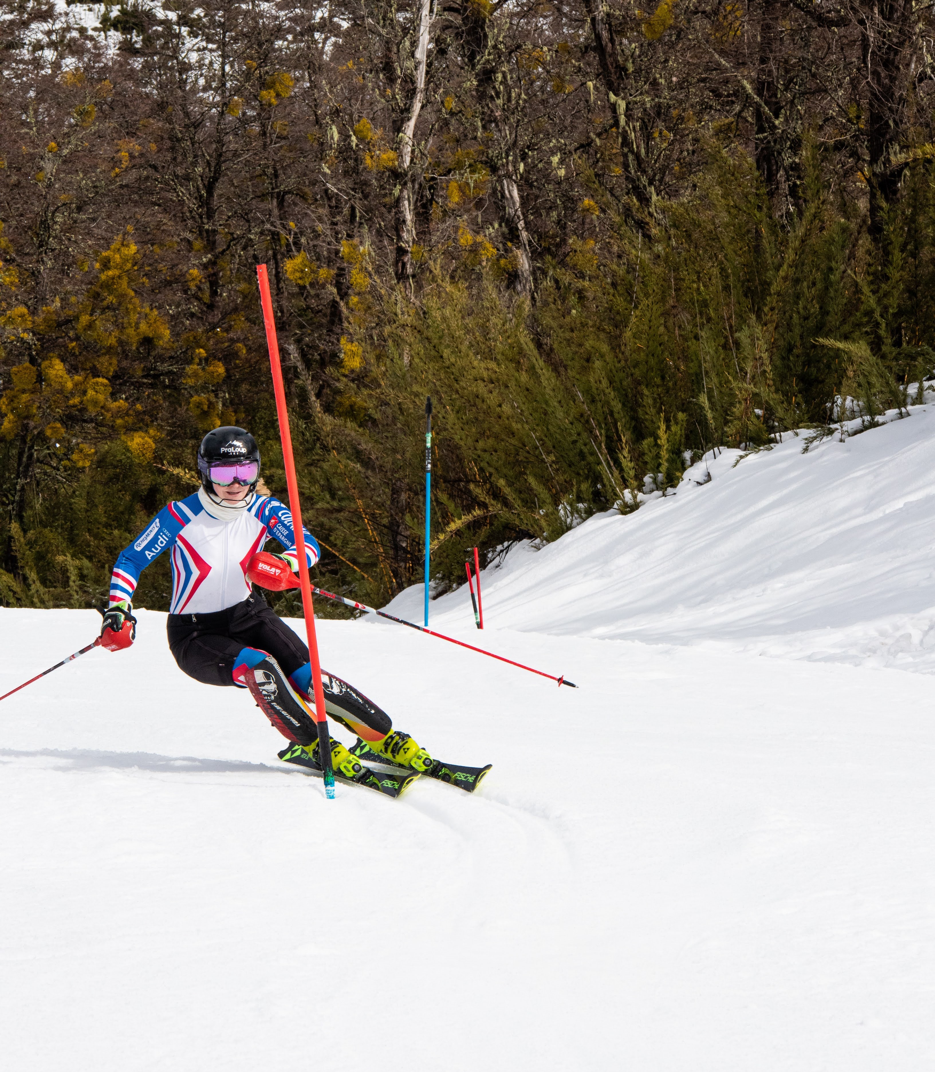 FIS G�ant Dames