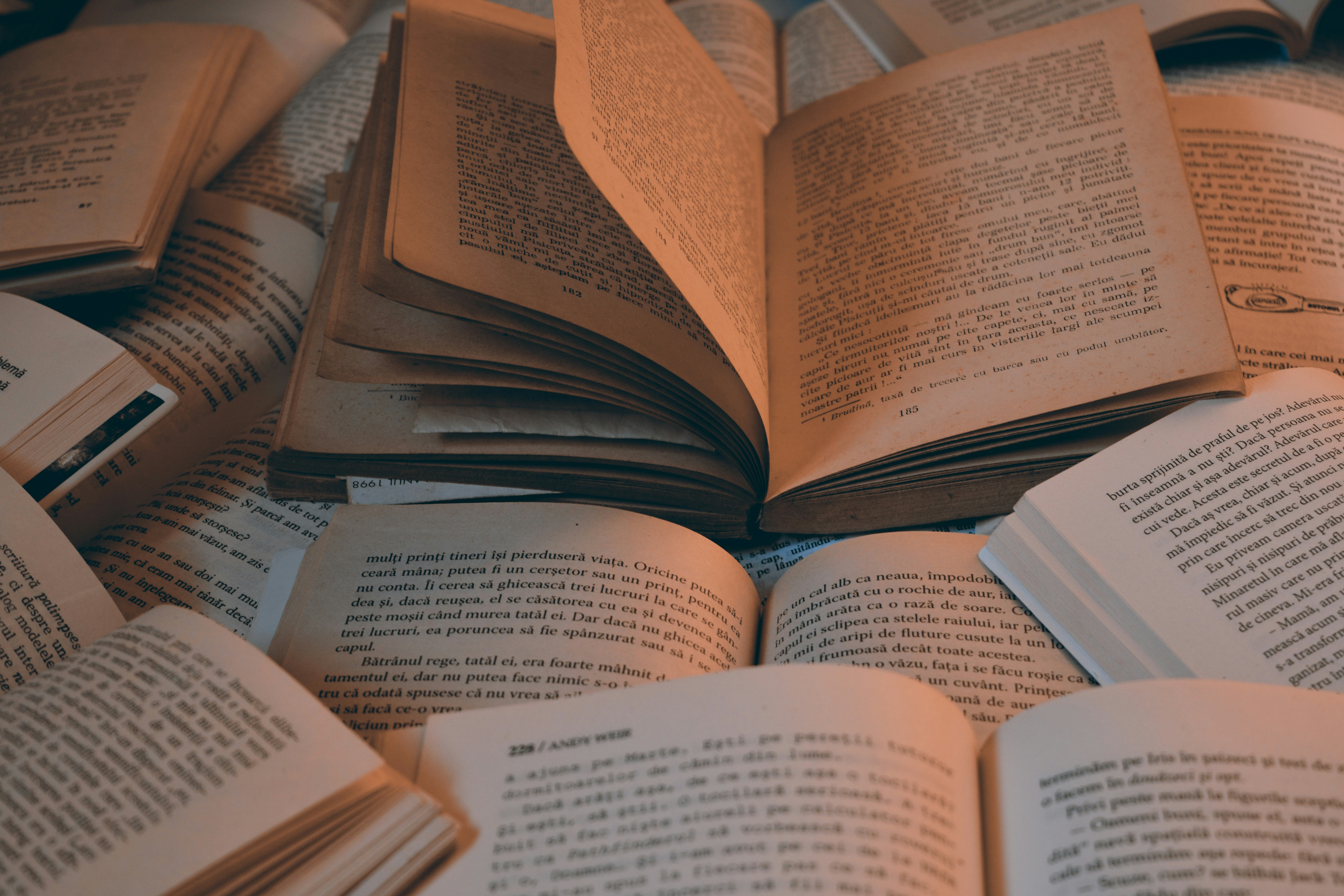 Bourse aux livres FCABD