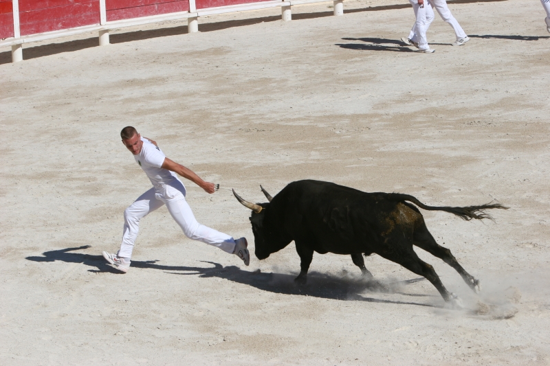 Souvenir Florence Clauzel course camarguaise