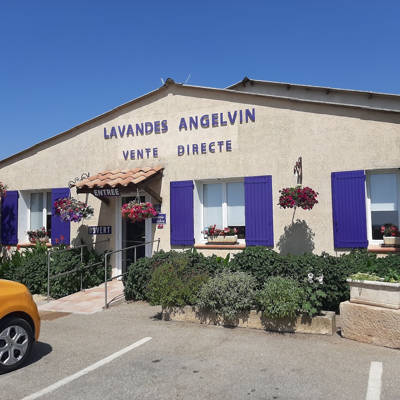 Visite guide de l'exploitation Distillerie Lavandes Angelvin