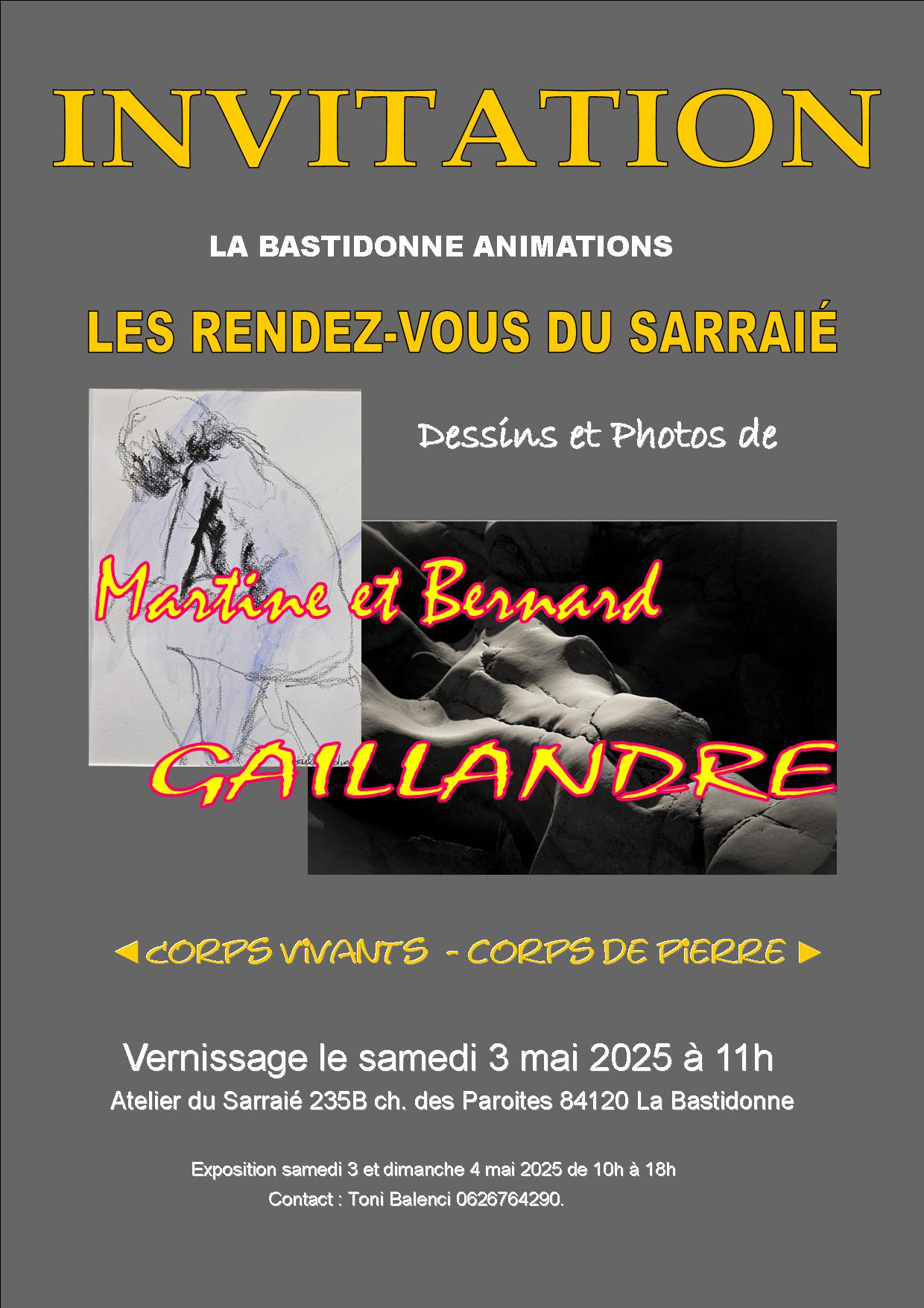 Les Rendez-vous du Sarrai : exposition Gaillandre
