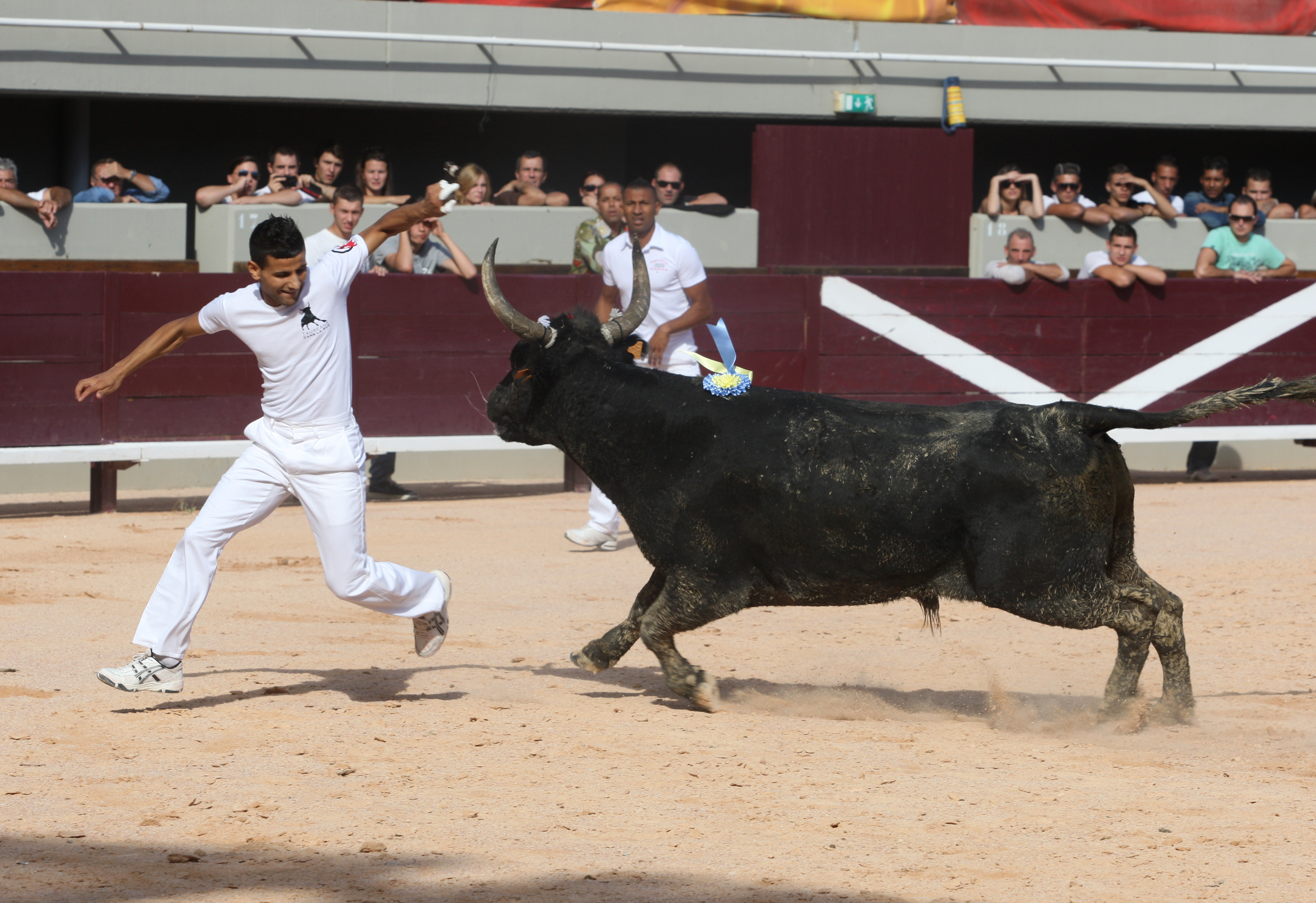 Journ�e traditionnelle du Toro club Istr�en