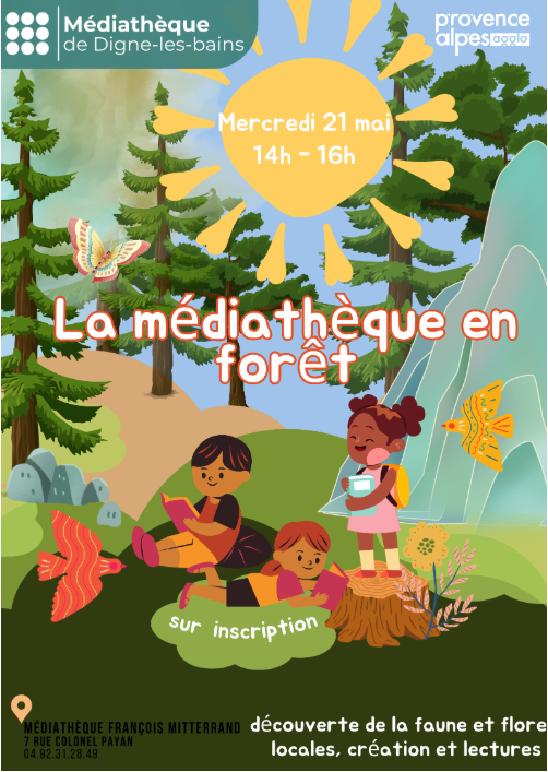 La mdiathque en fort