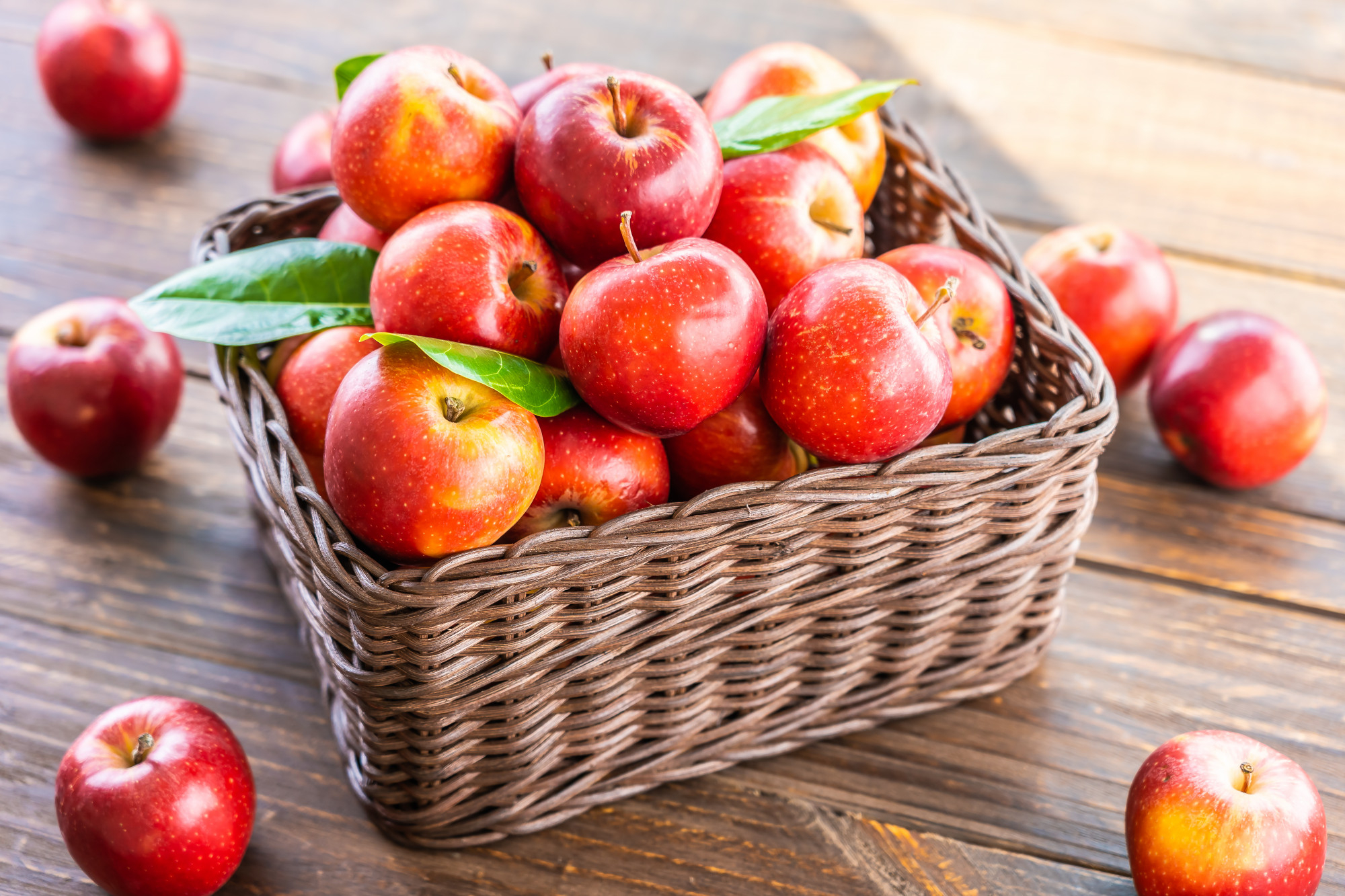 F�te de la pomme