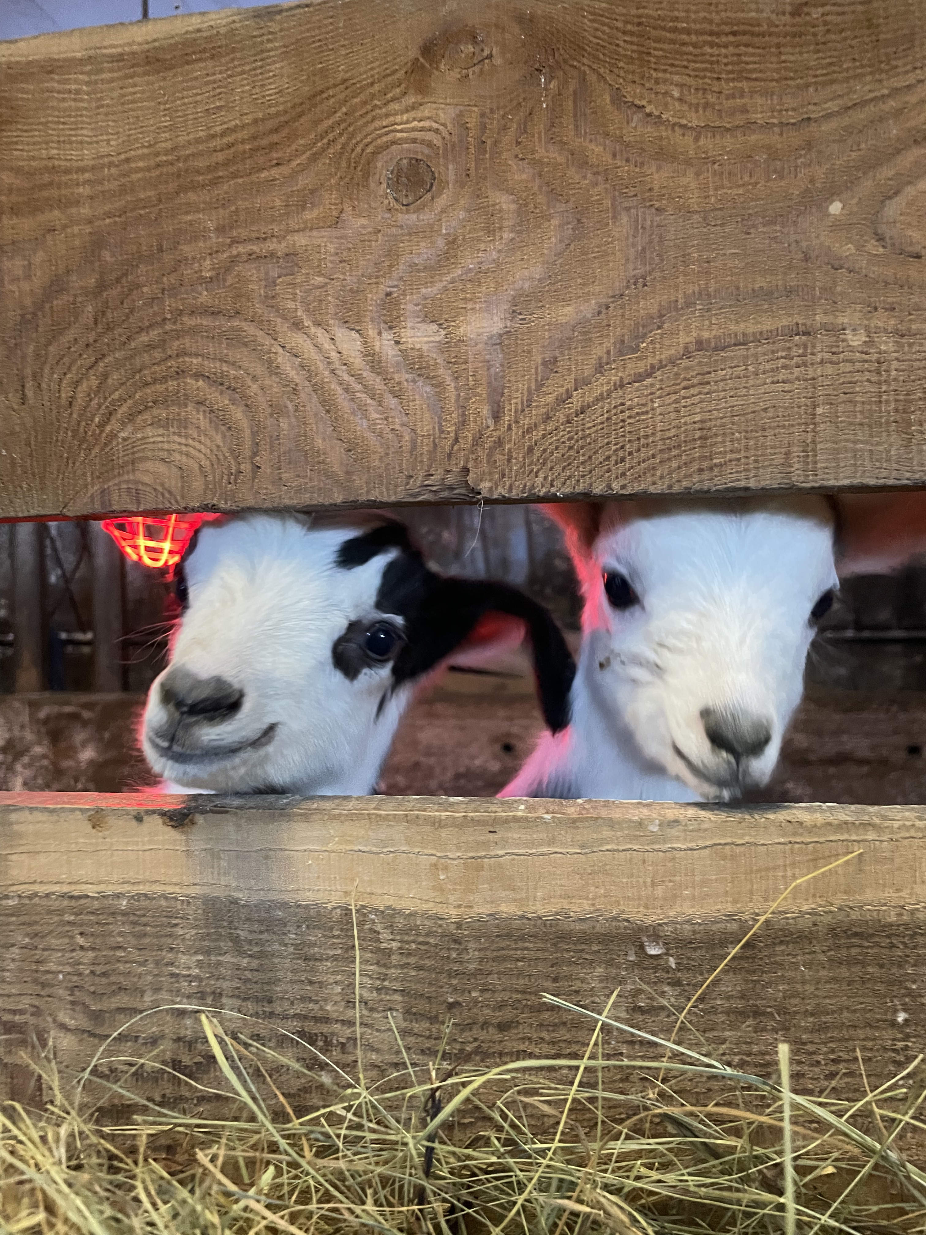 Visite de la Ferme des Molires