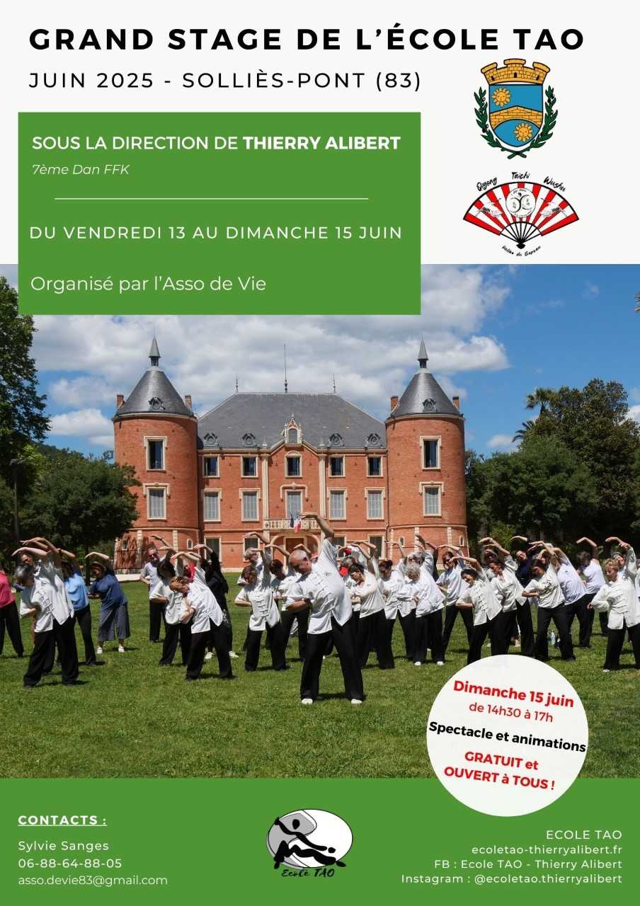 Grand stage de l'cole TAO