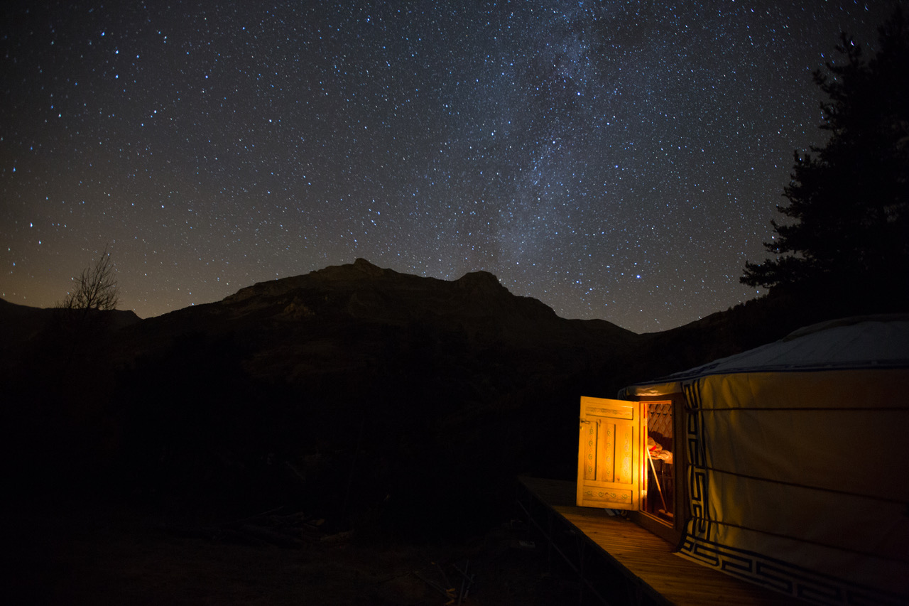 Immersion nocturne - sortie nature