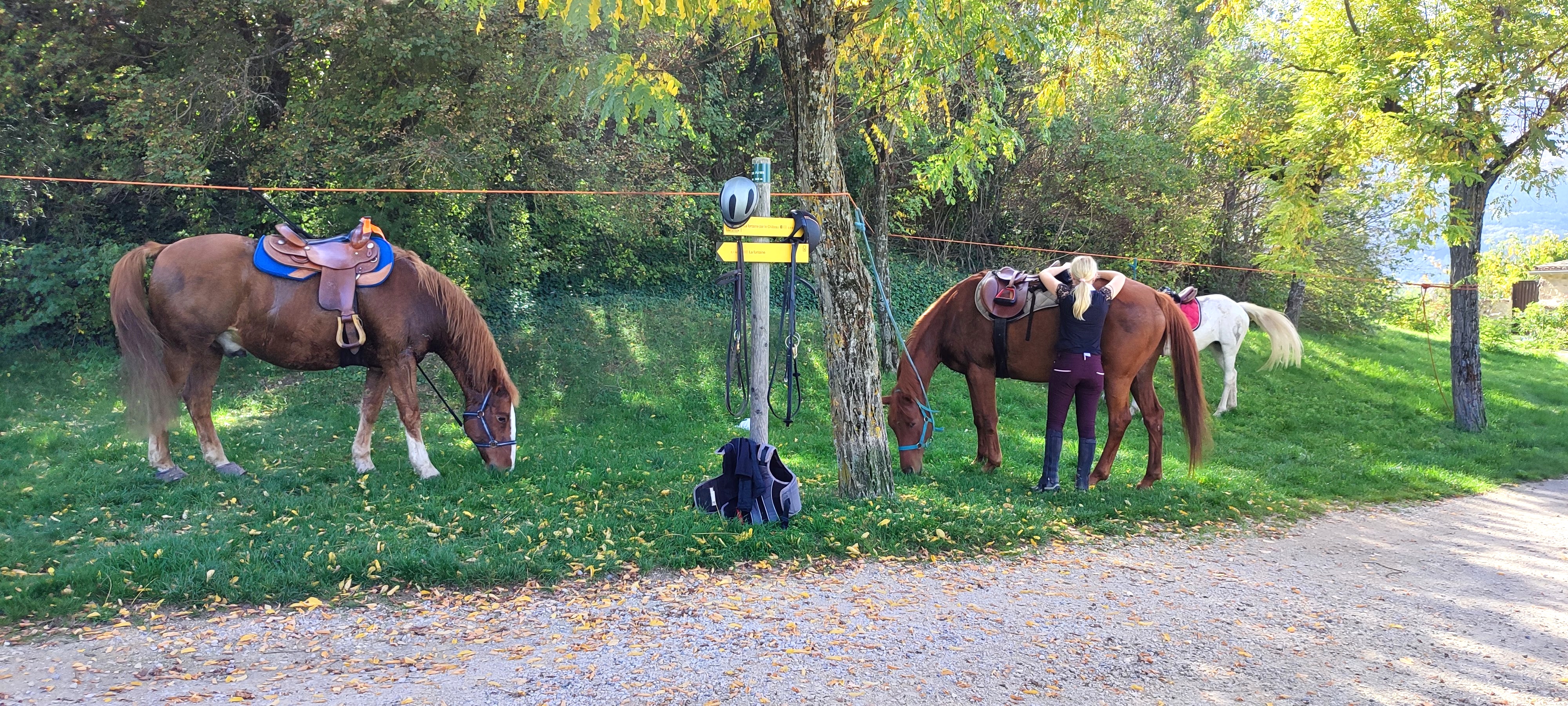 Chevauch�e jusqu'au Ch�teau de Mison