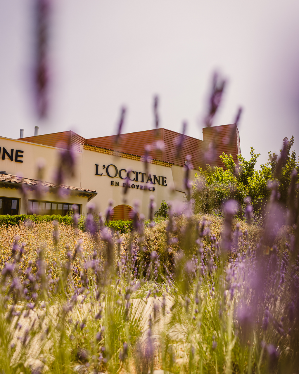 Visite guid�e de L'Occitane en Provence