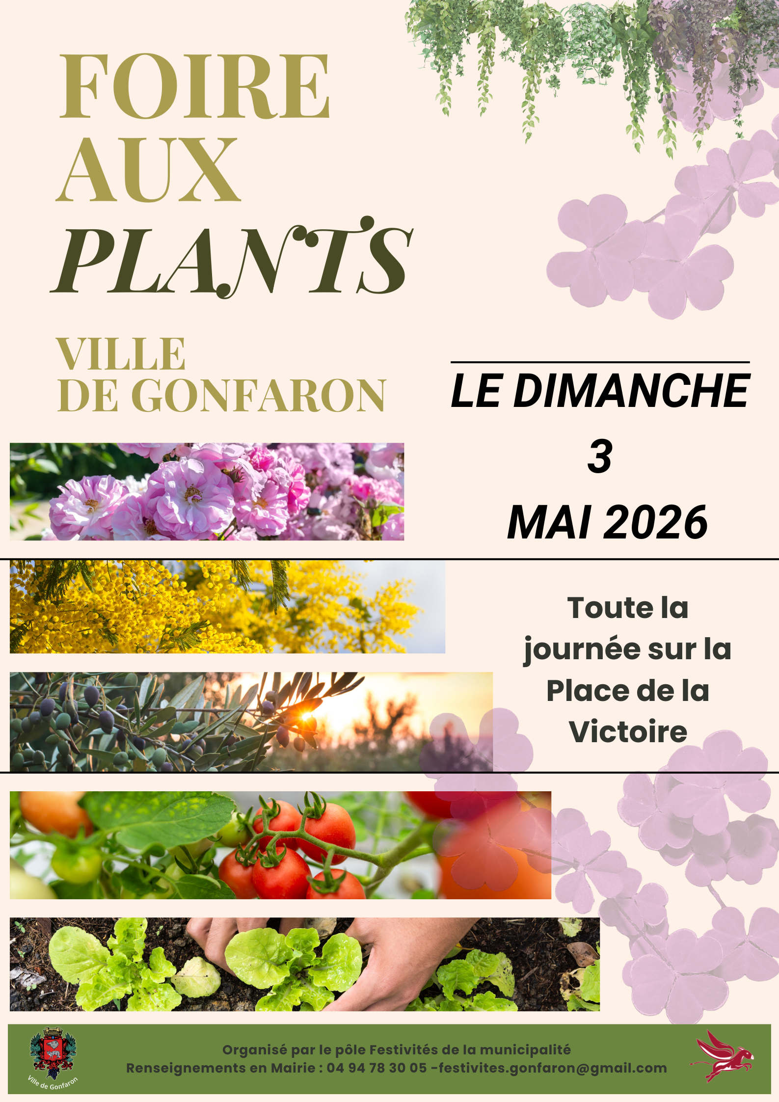Foire aux plants