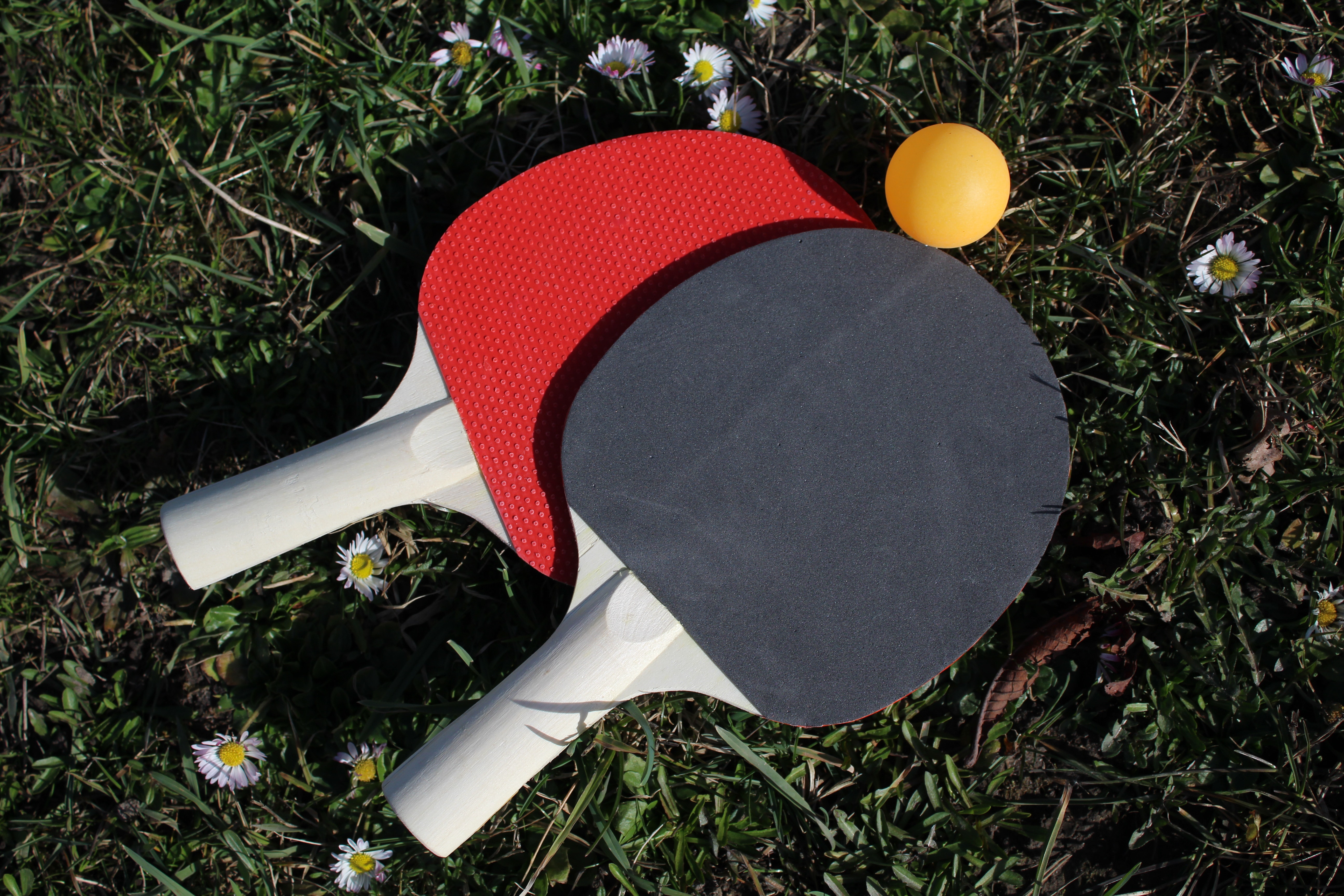 Tournoi de ping pong