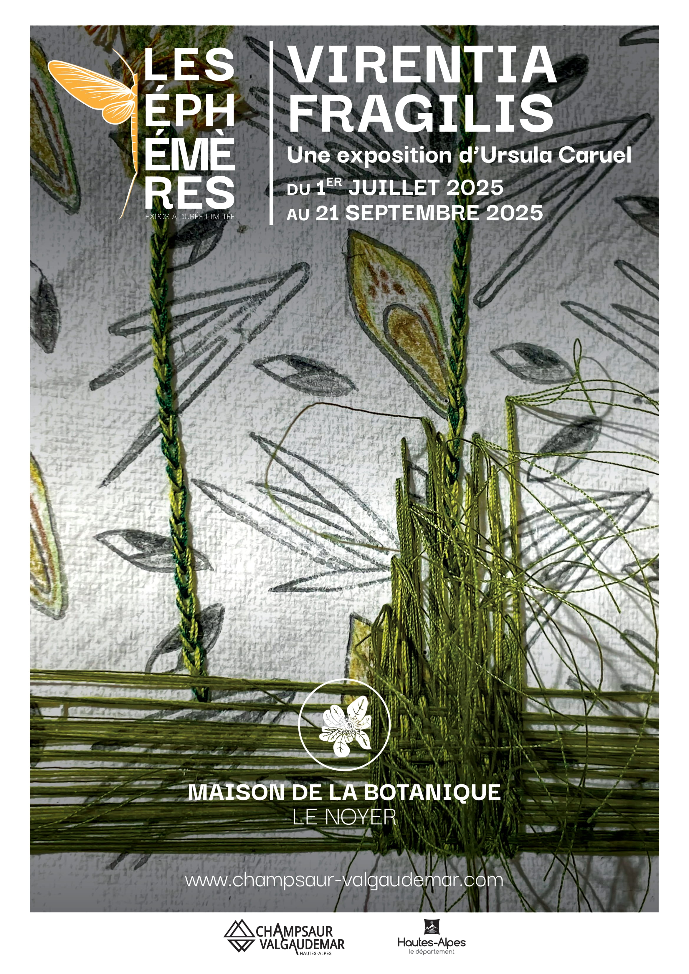 Vernissage de l'exposition : Virentia Fragilis