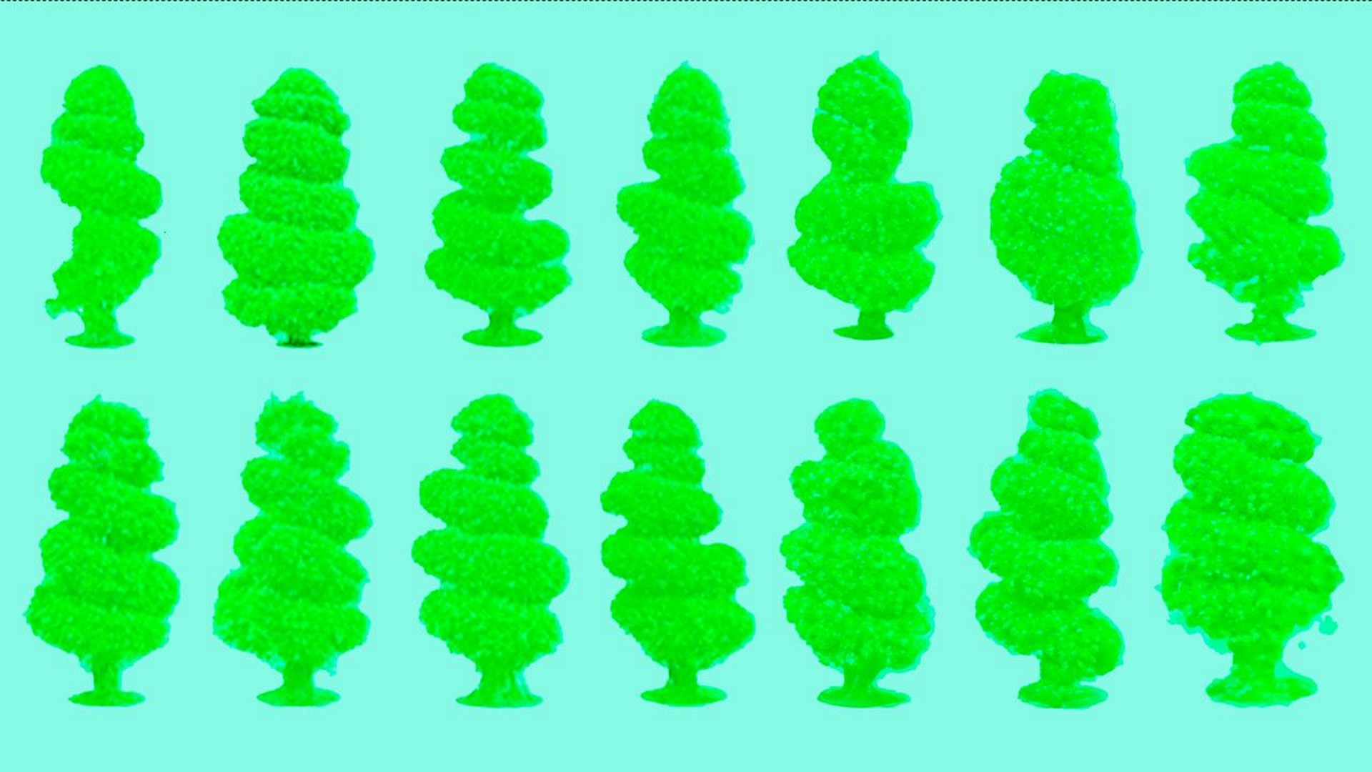 WATERGAME 2025
