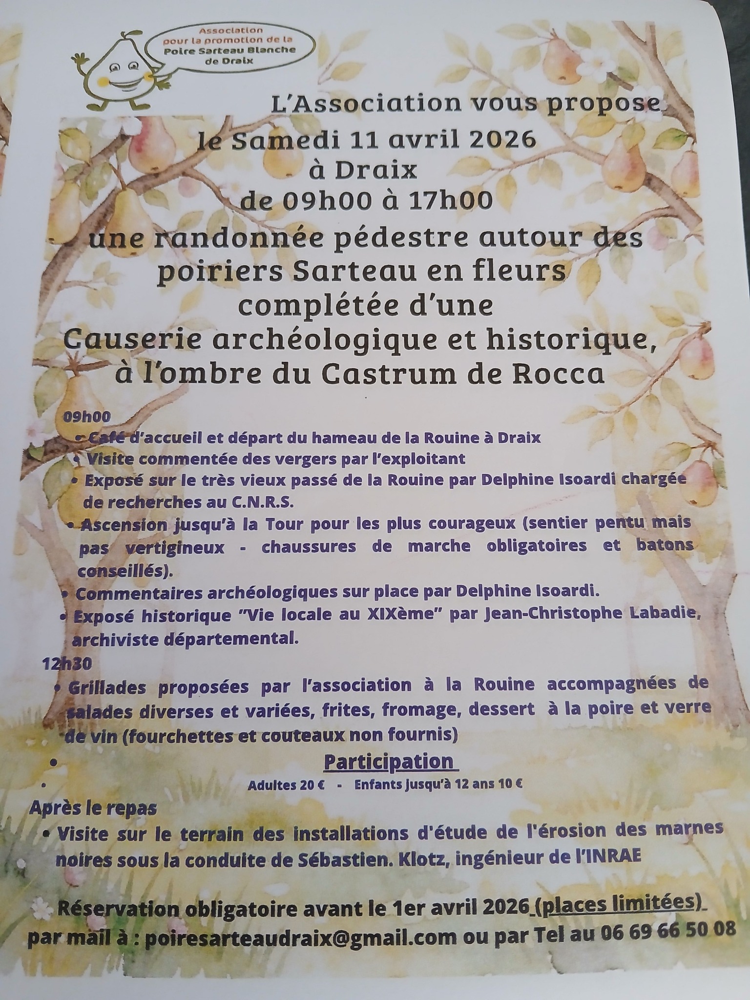 Randonn�e p�destre autour des poiriers Sarteau en fleurs