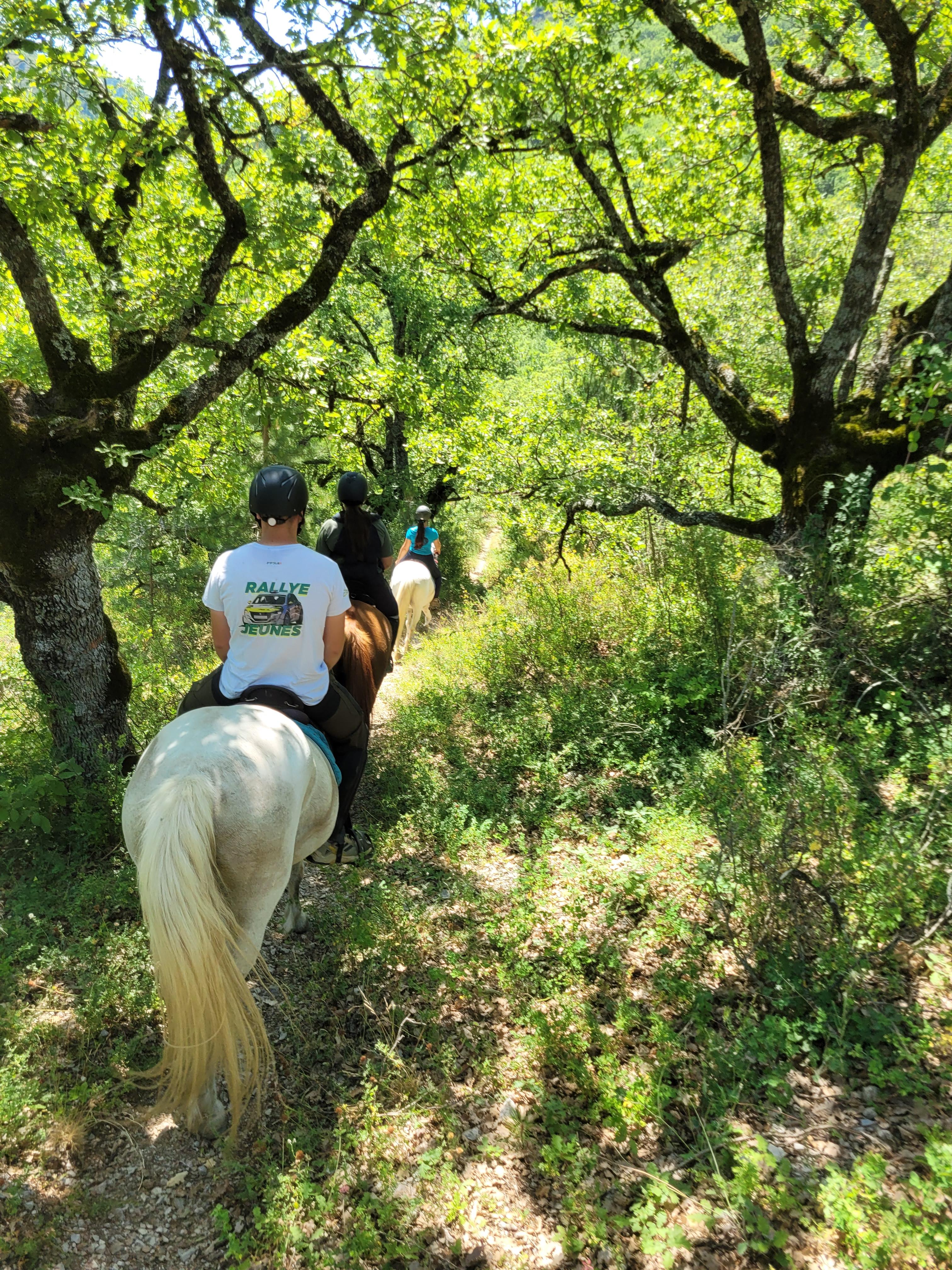 Tour de Ribiers � cheval