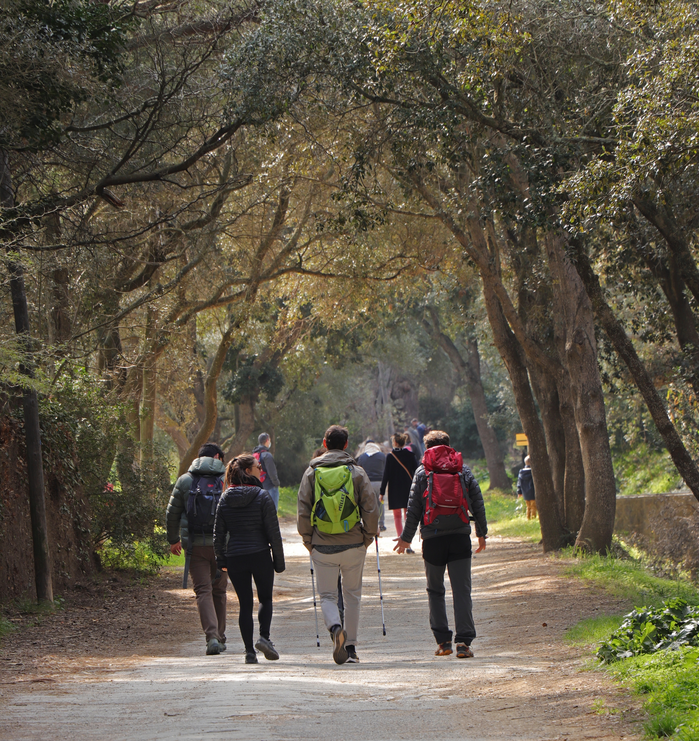 Point Rencontre : La Biodiversit� qui se cuisine - Ile de Porquerolles