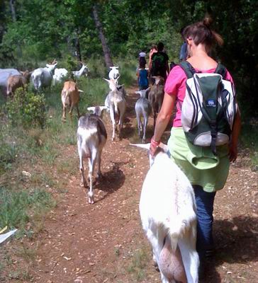 Festival de la Terre : Une journ�e � la ferme