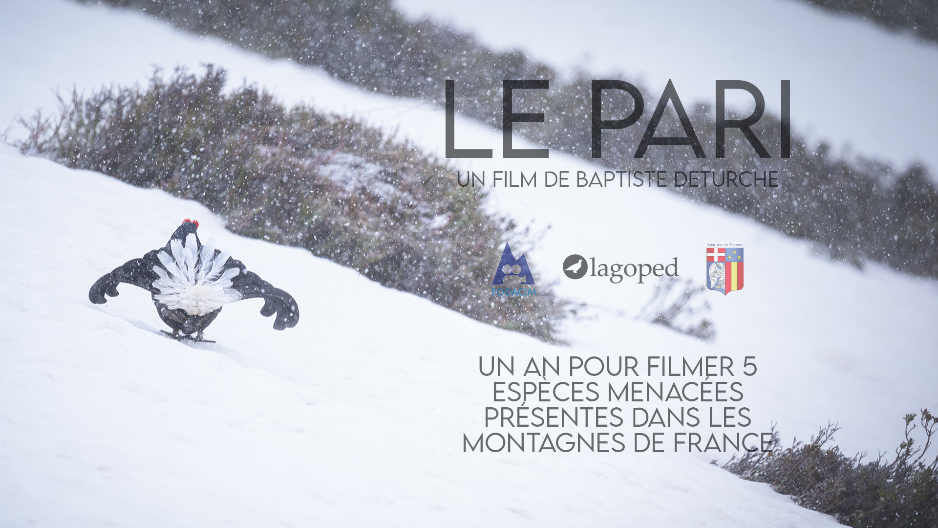 2000 jours au Paradis