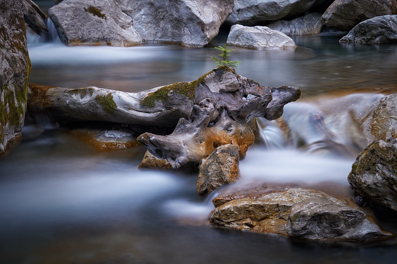 Une histoire d'eau...