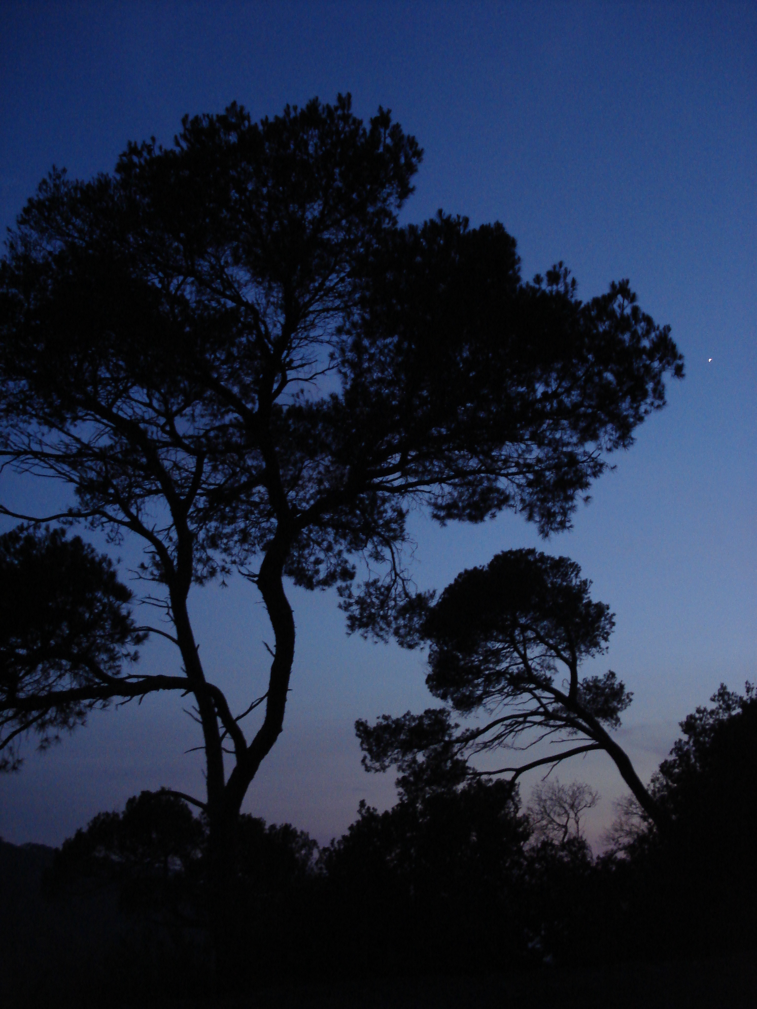 Point rencontre : Balade nocturne (Porquerolles)