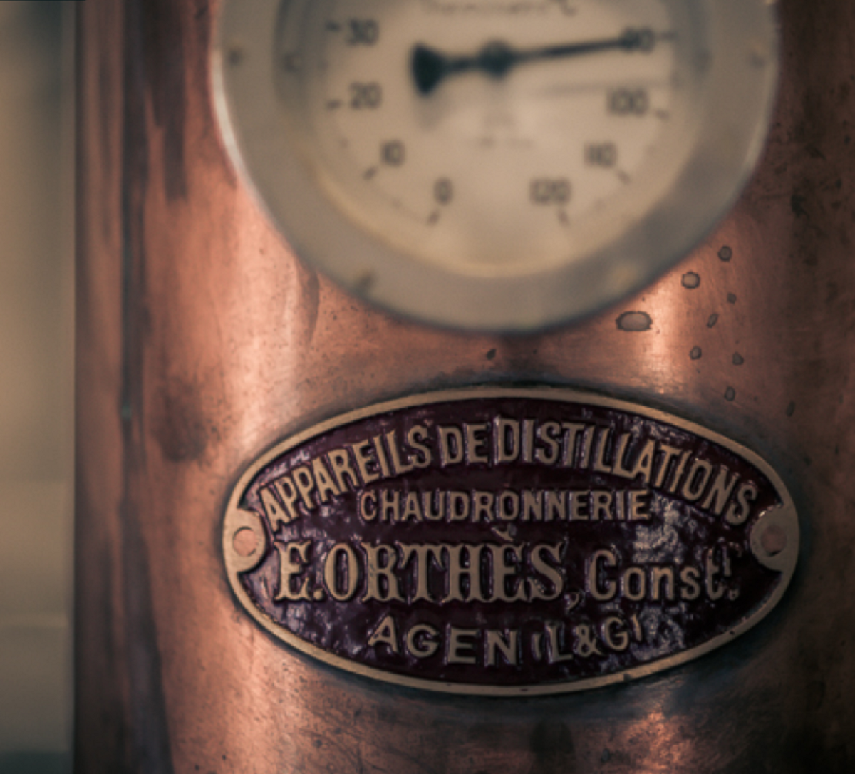 Visite guide de la distillerie de Whisky au chteau du Barroux