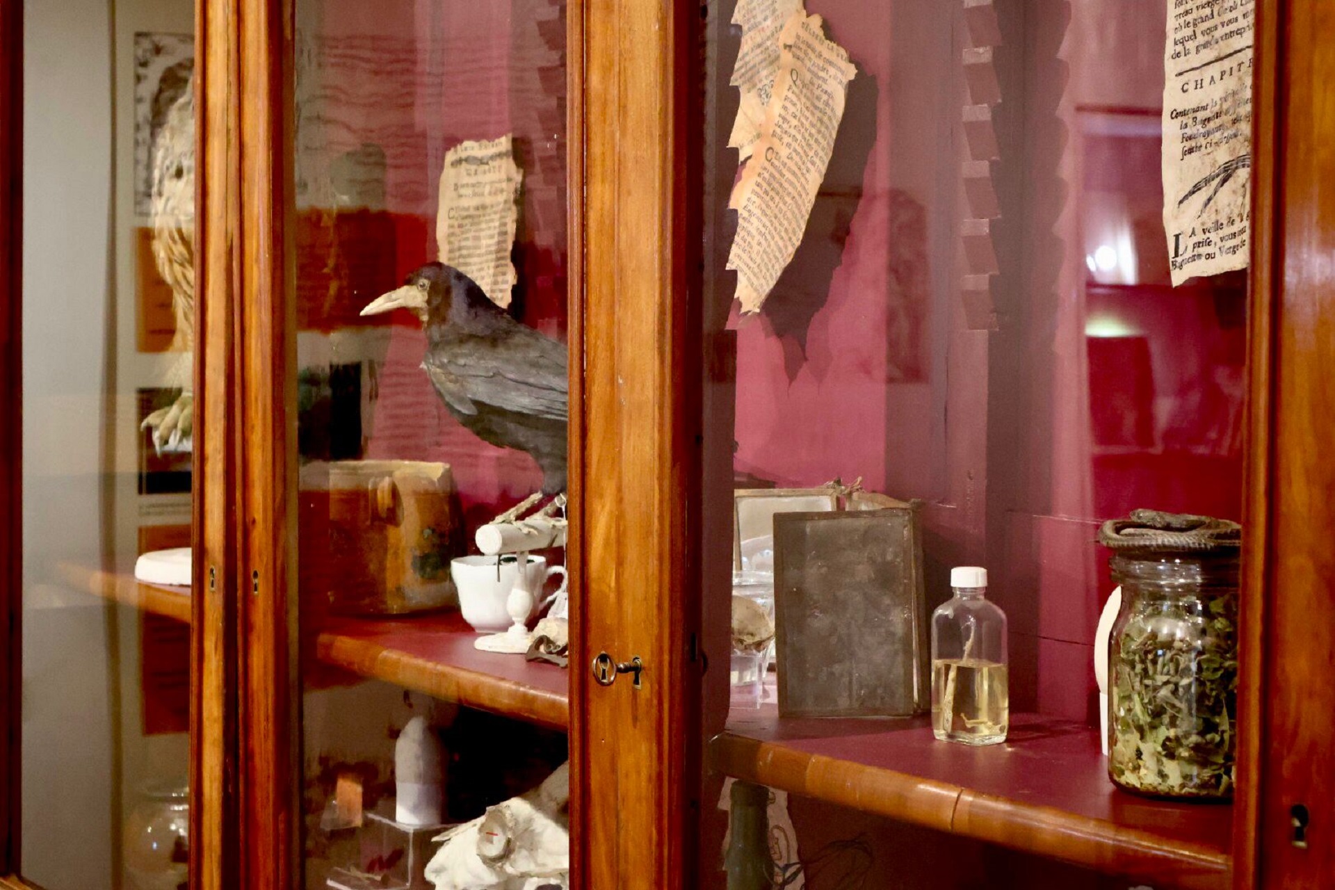 Exposition 