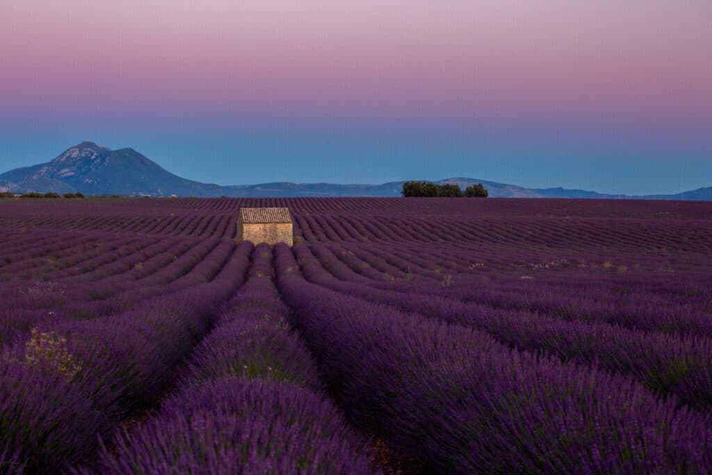 Excursion Valensole et Quinson