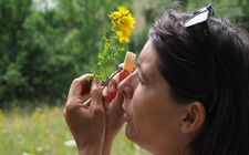 Demi-journ�e reconnaissance de plantes avec Anne MERRY