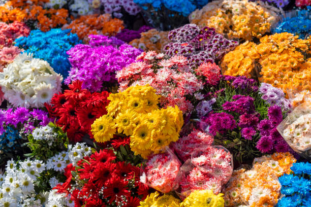 Les Floralies du Tambour d'Arcole