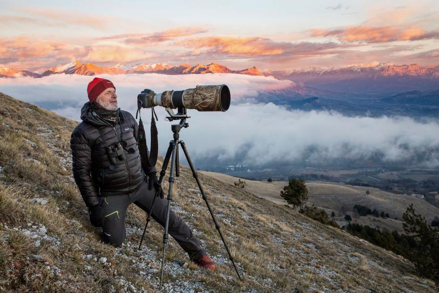 Exposition  Des oiseaux dans lobjectif 