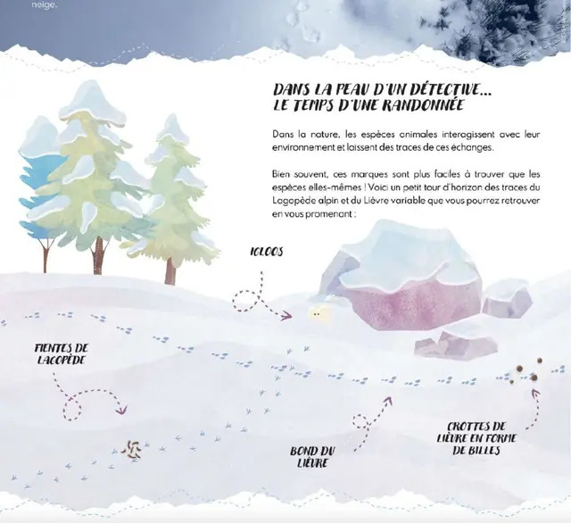 Exposition  Sur les traces des espces blanches 