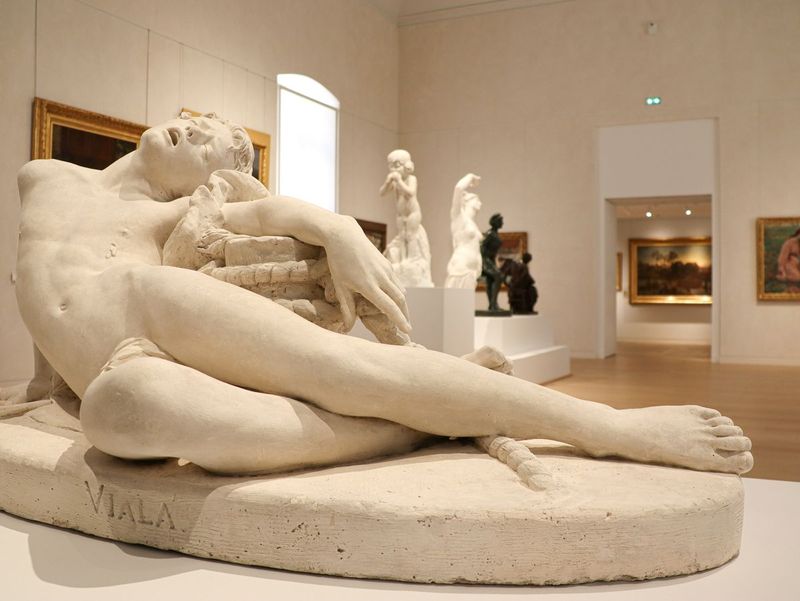 L'Inguimbertine  l'Htel-Dieu : Visite guide de l'exposition permanente