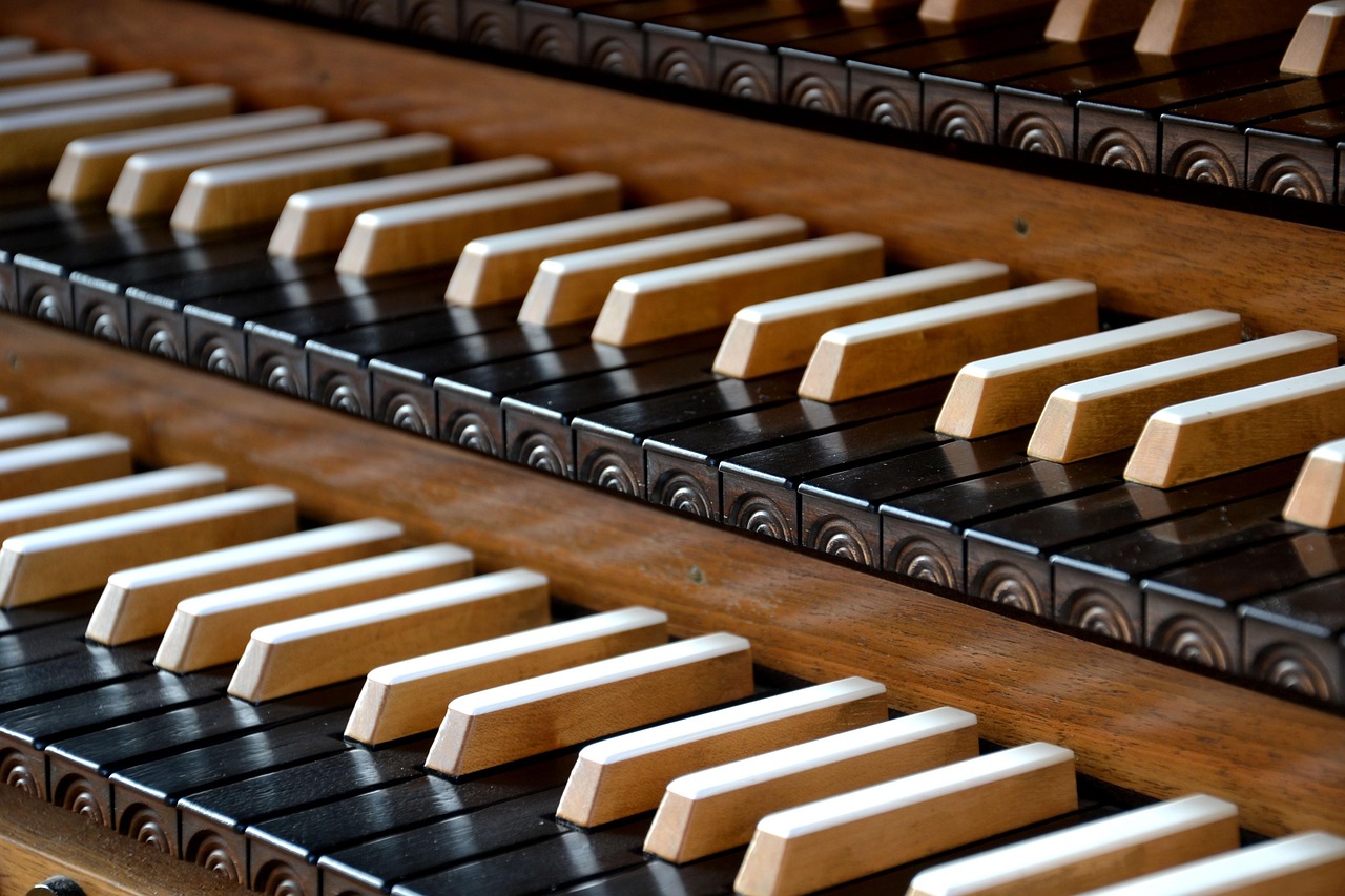 Jour de l'orgue