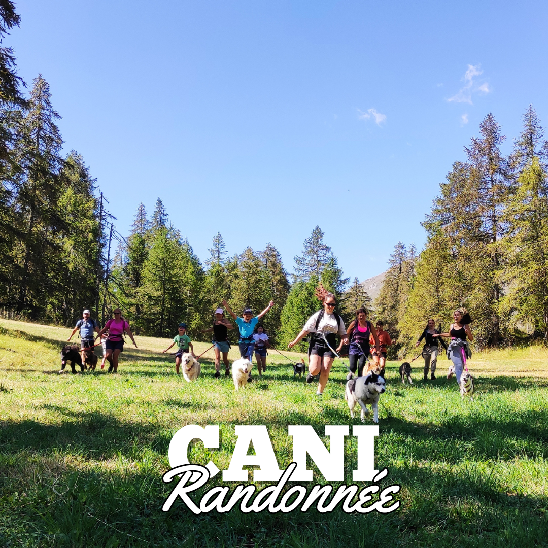 Cani randonne