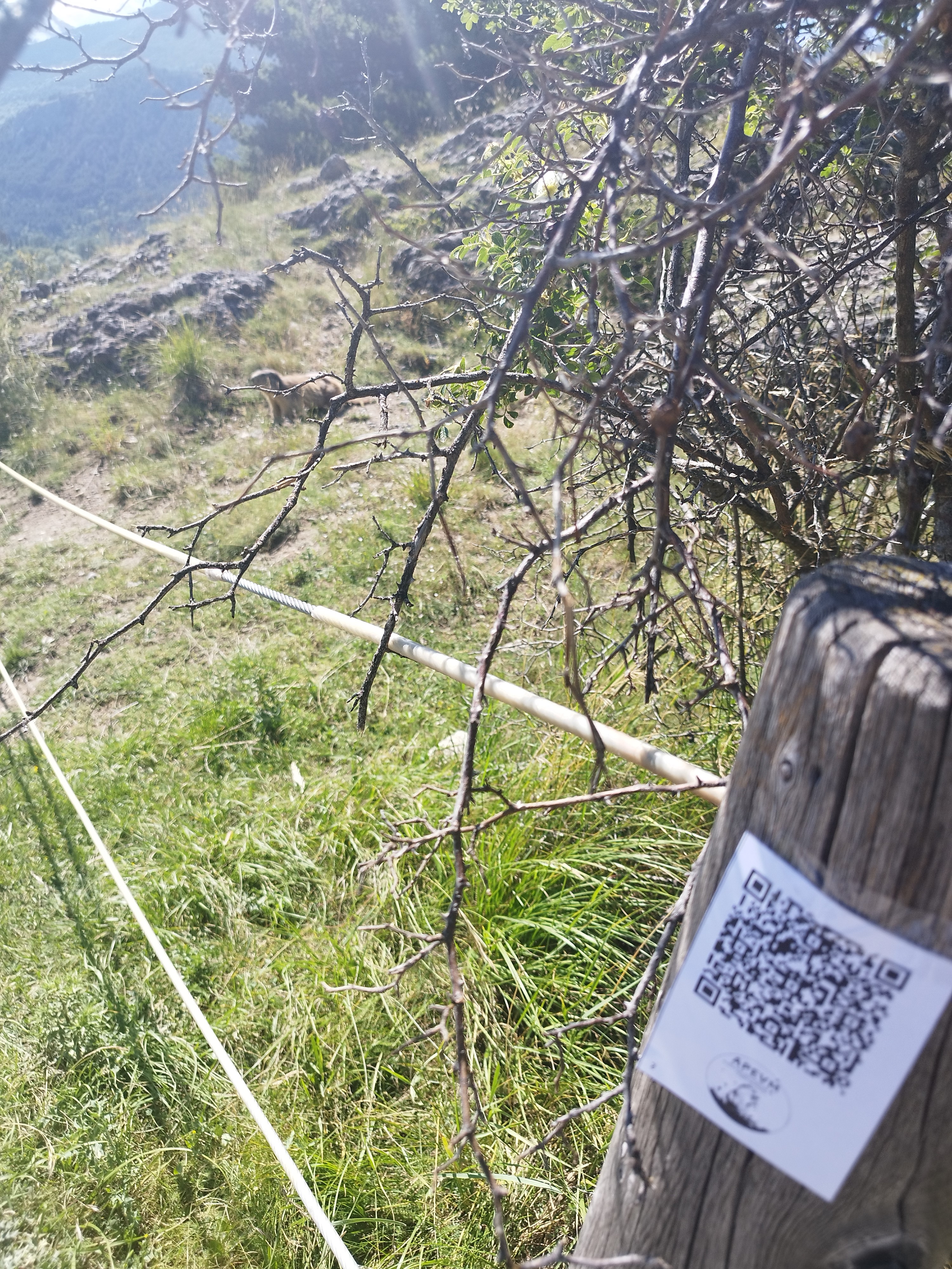 Jeu A la dcouverte des marmottes