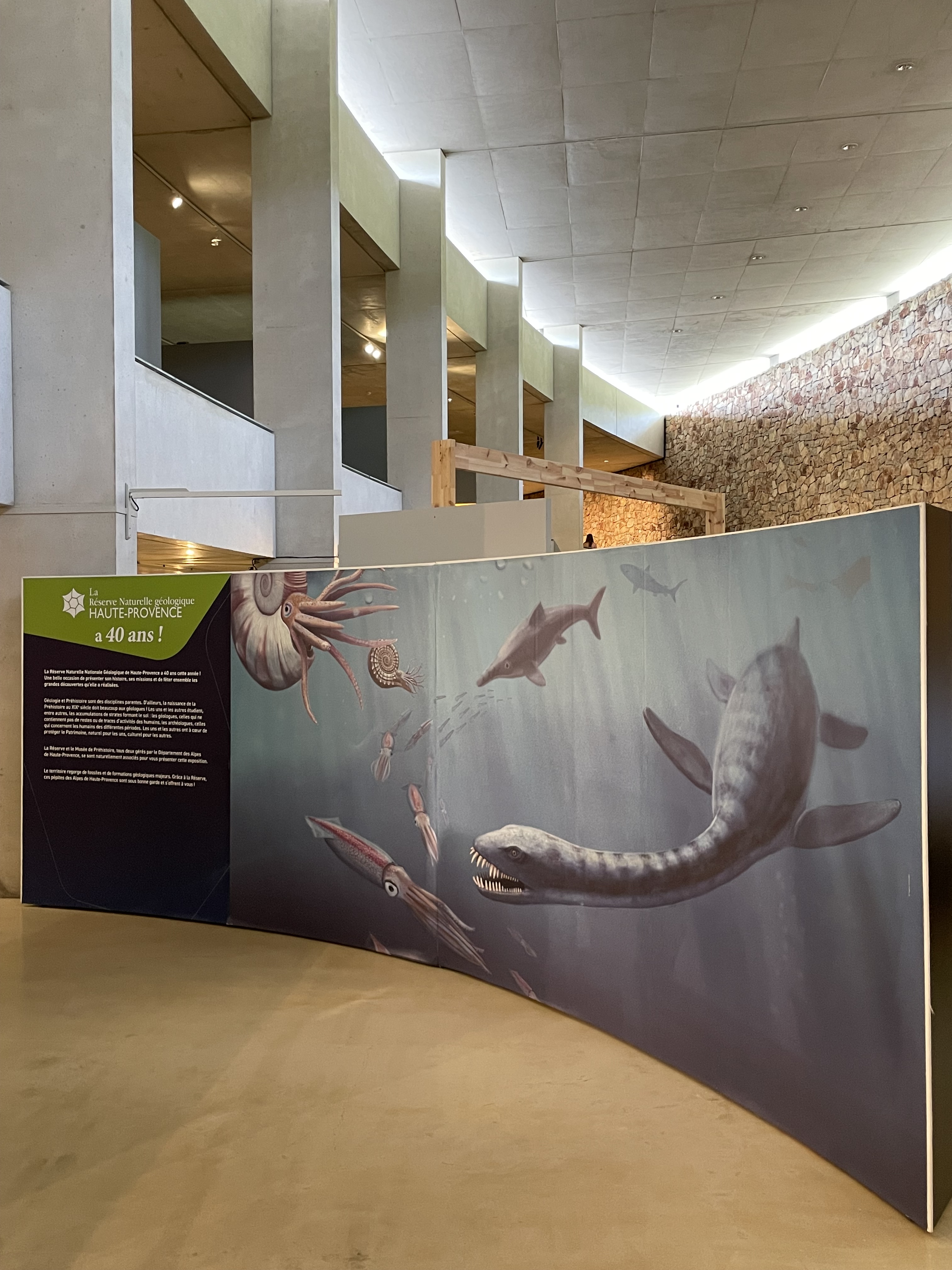 Exposition Temporaire 