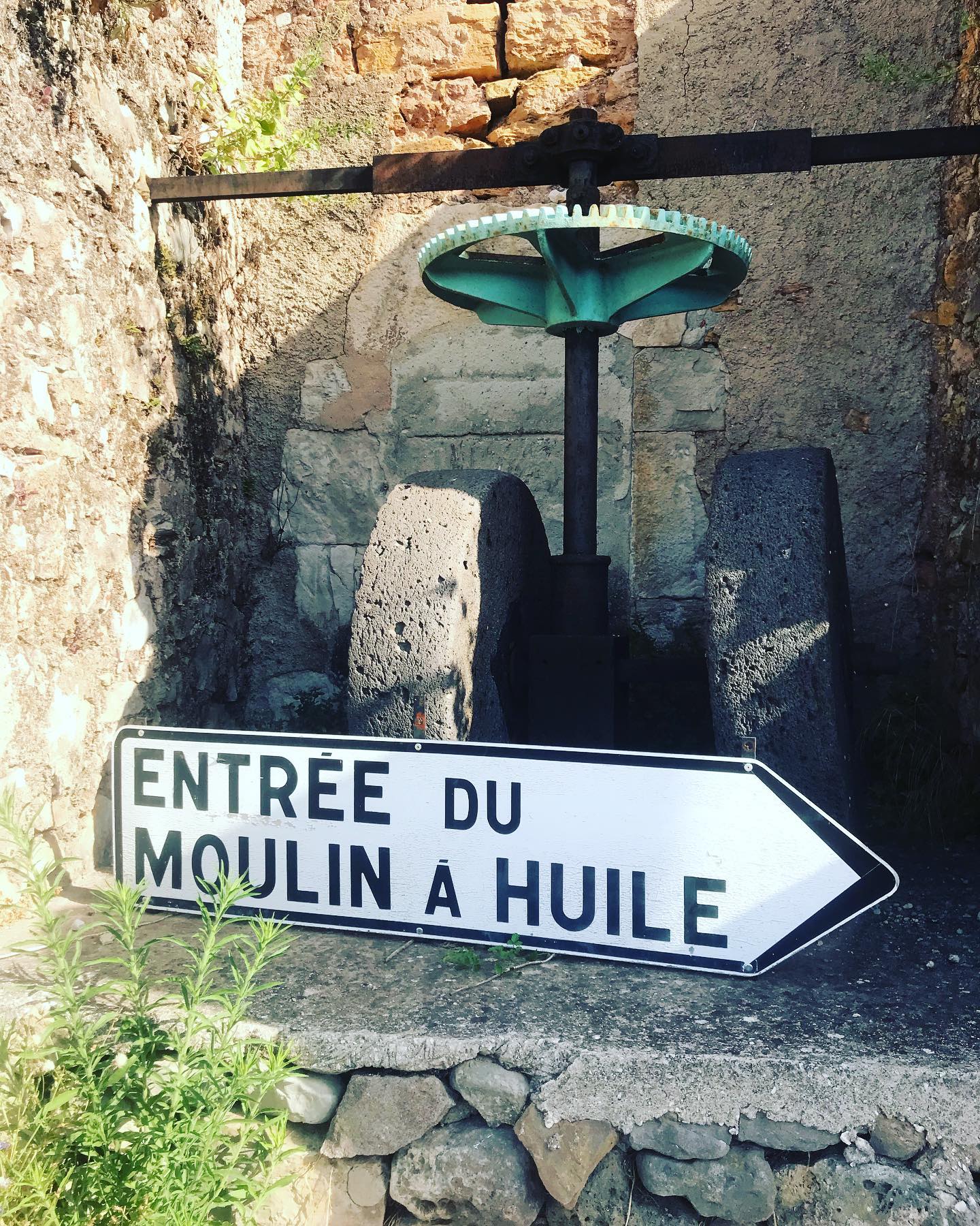 March du Moulin olicole des cinq ponts