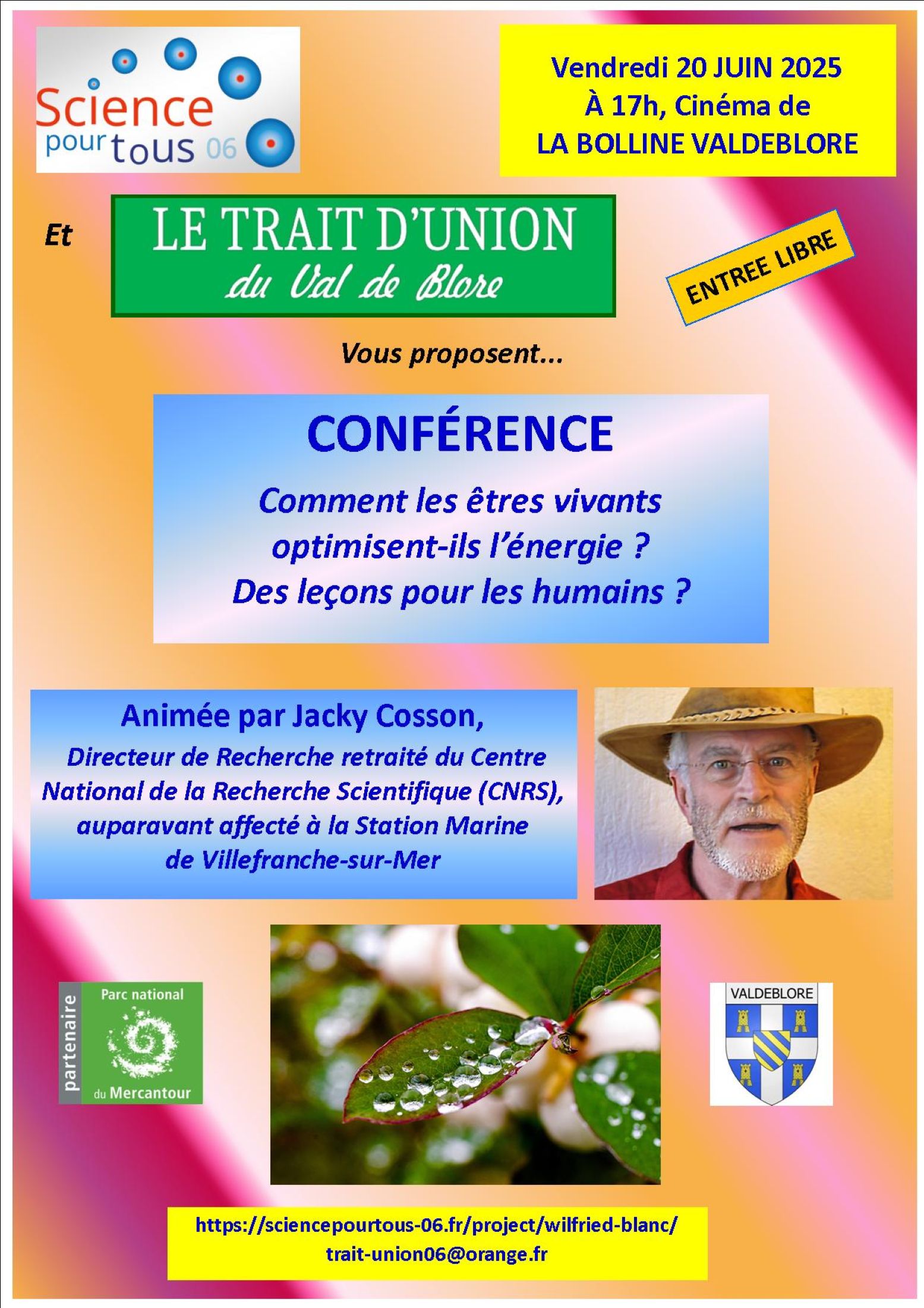 Confrence 
