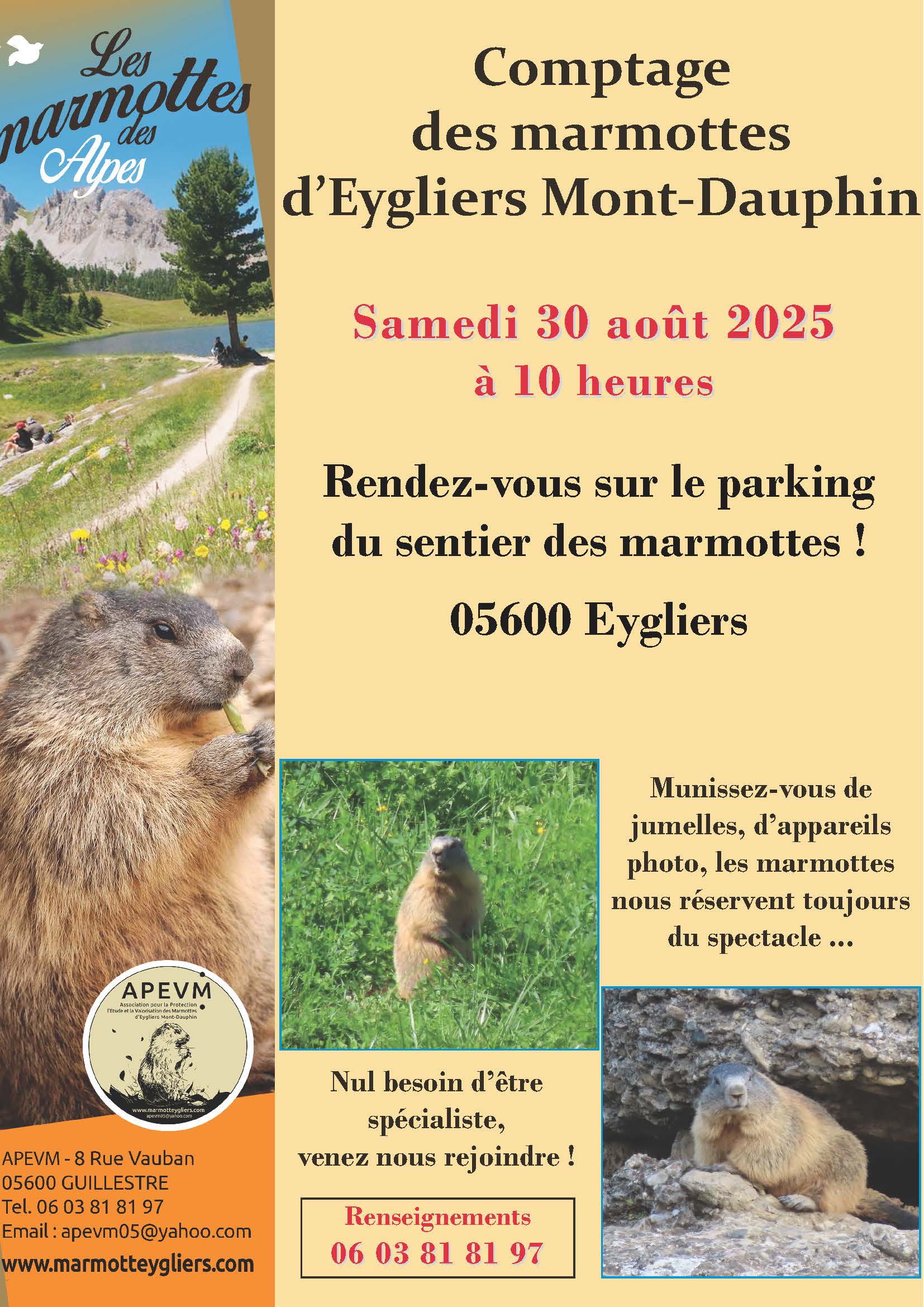 Comptage des marmottes d'Eygliers Mont-Dauphin