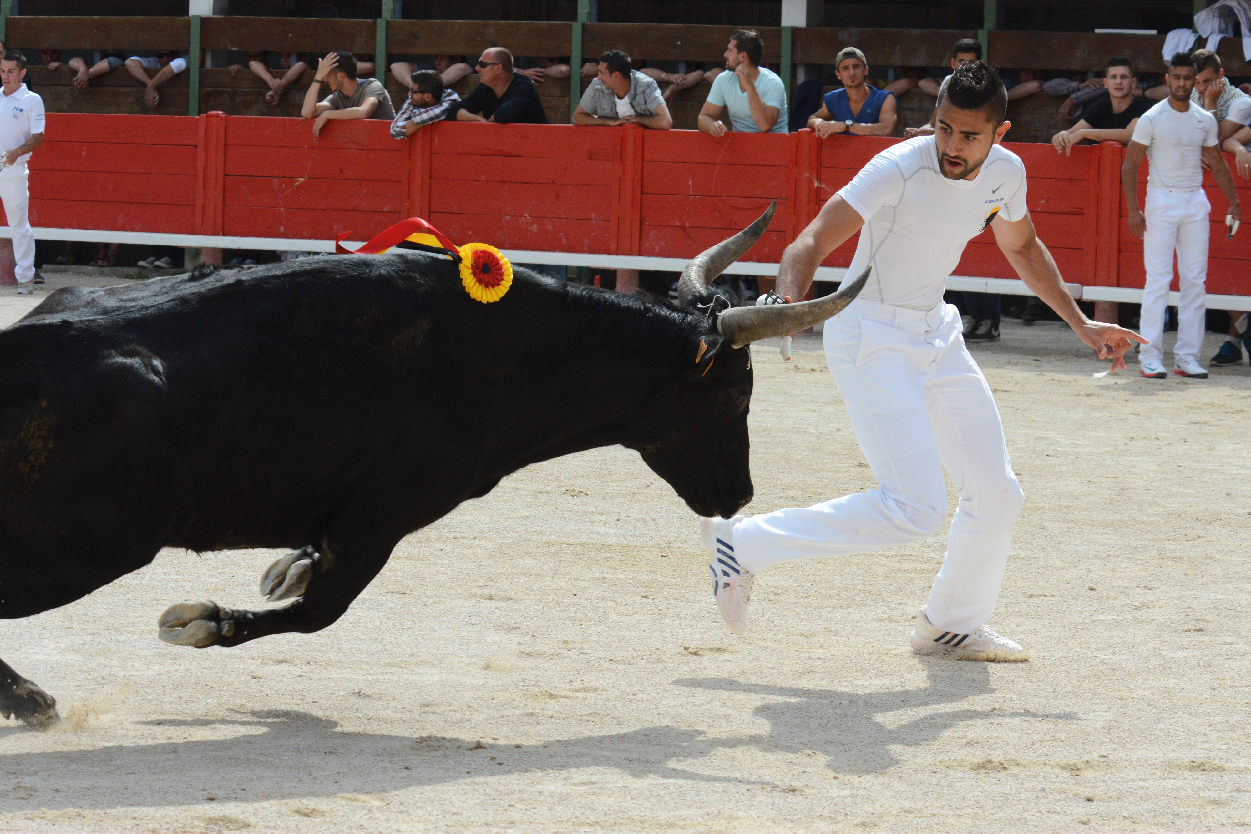 Les spectacles nocturnes aux ar�nes