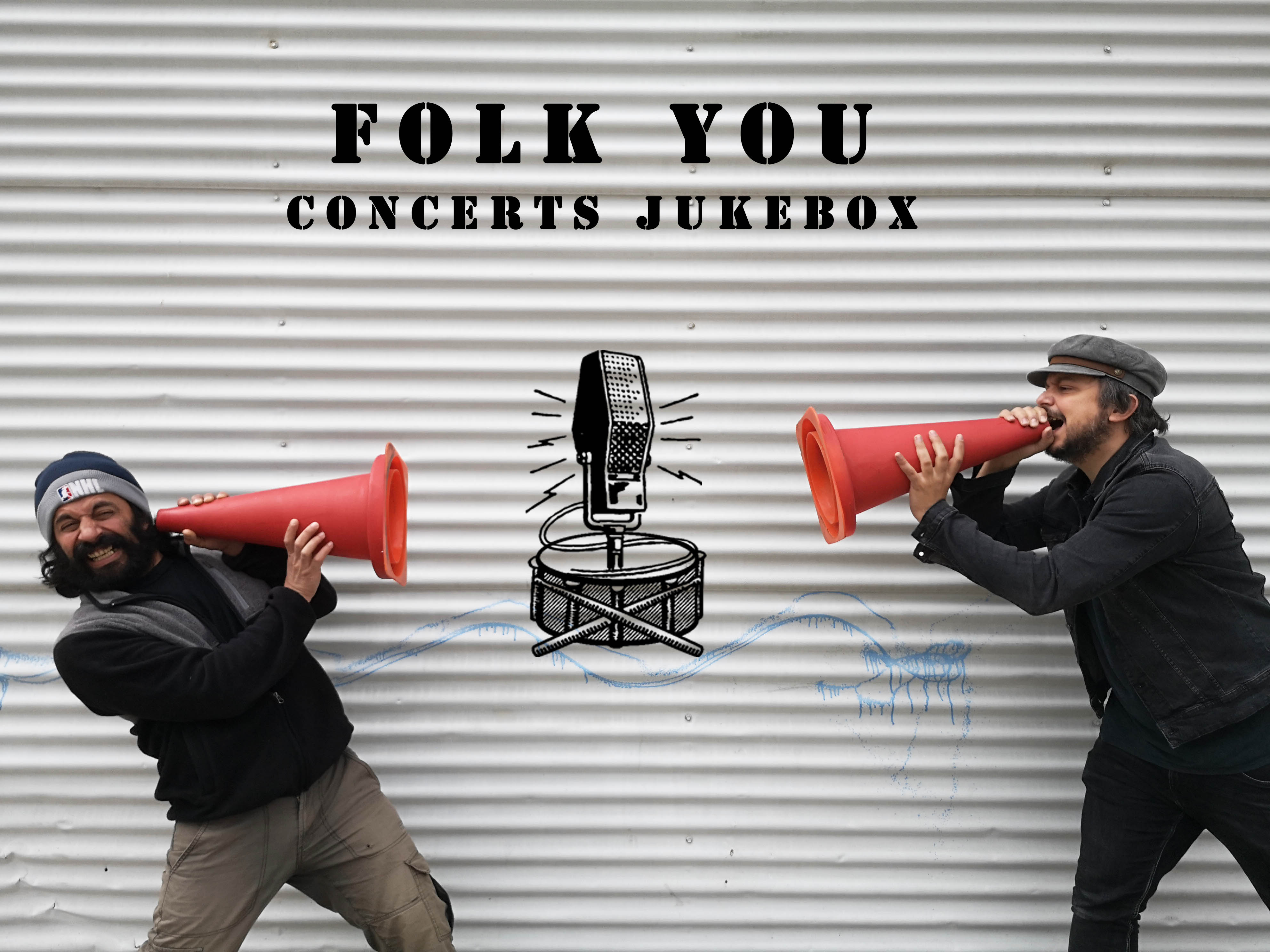 Concert du groupe Folk You